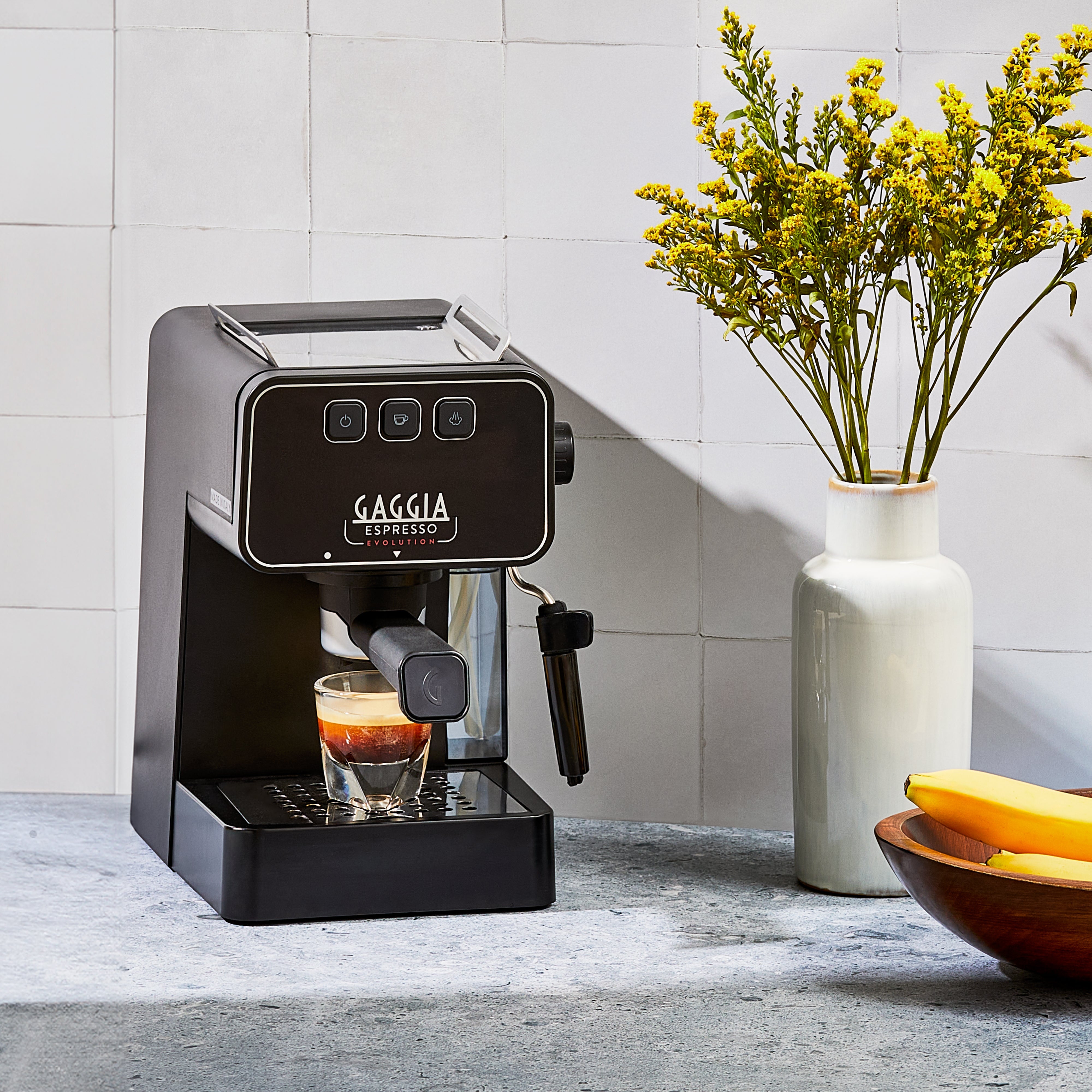 Gaggia Espresso Evolution